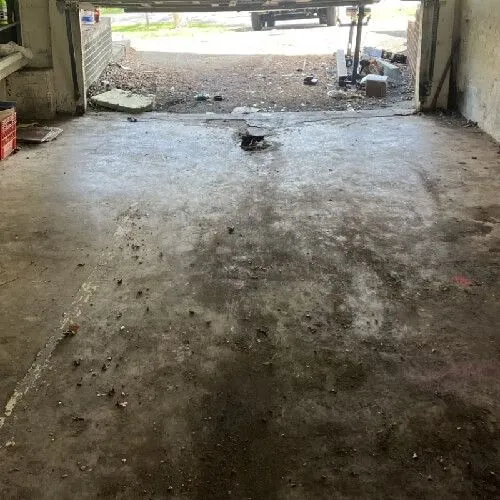 Room after cleanout service