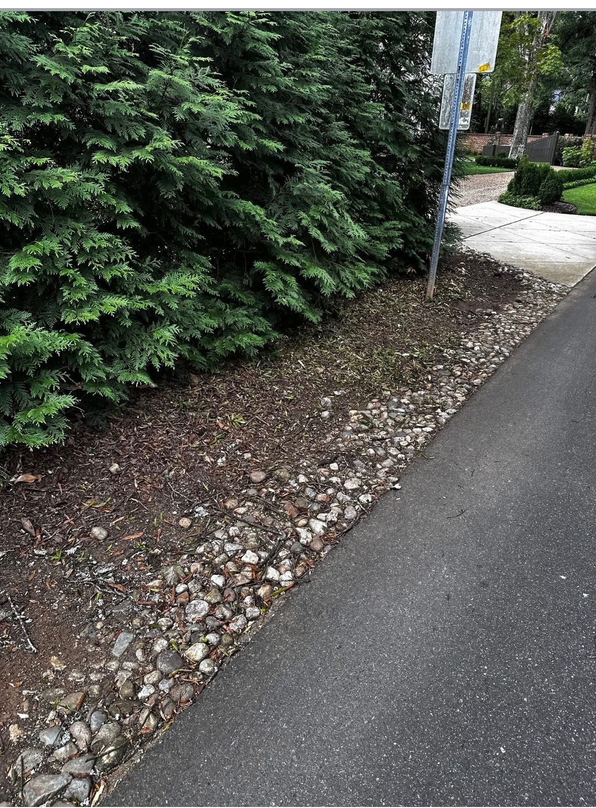 Property after junk removal